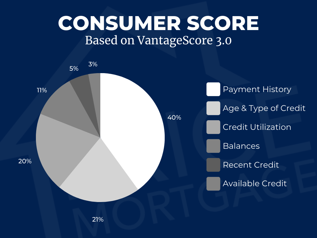 Consumer Credit Score